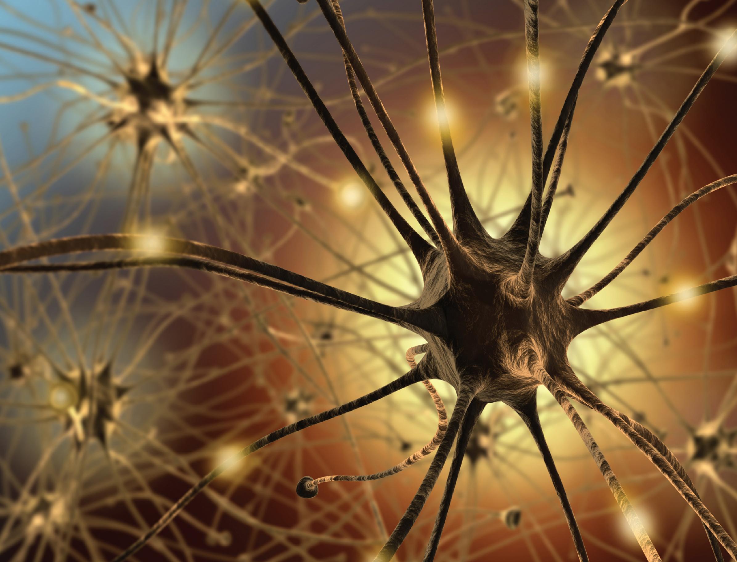 Neural Tissue Markers: