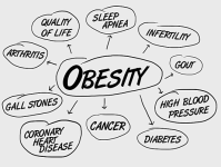 Kardiyovasküler hastalıklar ve obezite biyobelirteçleri