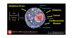 Oxidative stress - Hücresel hasar, hücrenin telafi edici yeteneğini aşan strese neden olan bir hücre yapı ve fonksiyon değişikliği olarak tanımlanır. Serbest radikal oluşumu, organizmanın savunma kapasitesini aştığı zaman moleküler hasar ortaya çıkar. Oksidatif hasar bir seri hastalığın ve yaşlanmanın patogeneziyle bağlantılı bulunmuştur.