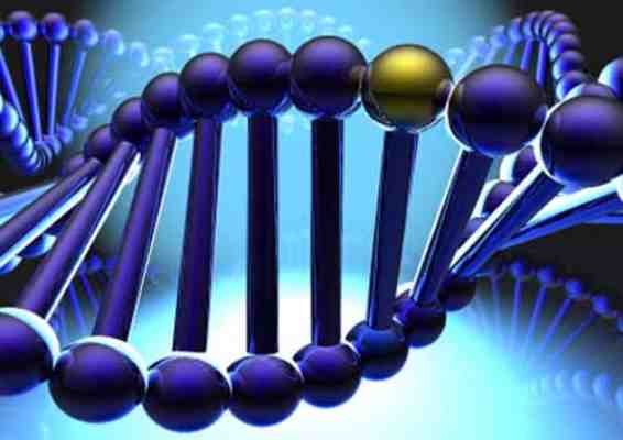 DNA Metilasyonu ve Kanser